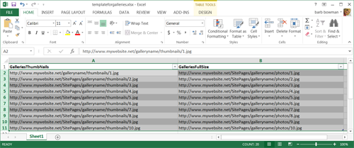 siena excel